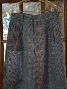 Everlane Blue Pinstripe Chinos Sz 6